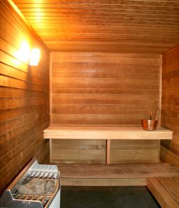 Výběr domácí sauny